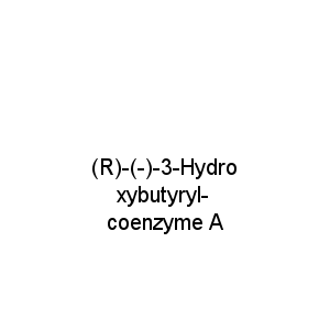(R)-(-)-3-Hydroxybutyryl-coenzyme A